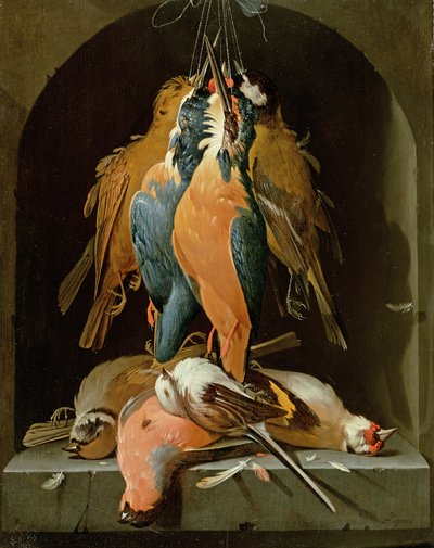 Still Life of Birds by Abraham Mignon